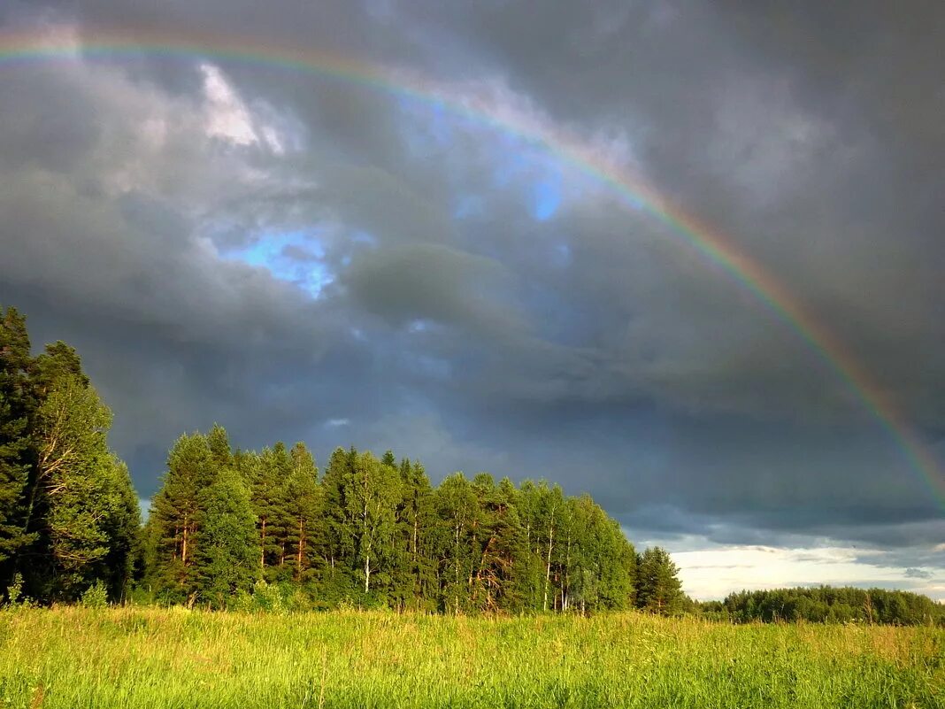 лето гроза. радуга после грозы. тучи летом. летний дождь. весенний гром тютчев.
