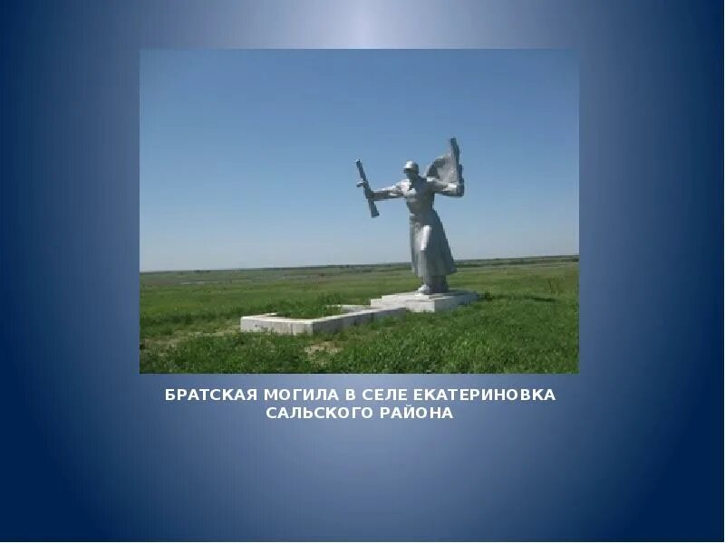 Погода романовка сальский