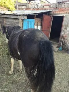 Где меняли коней