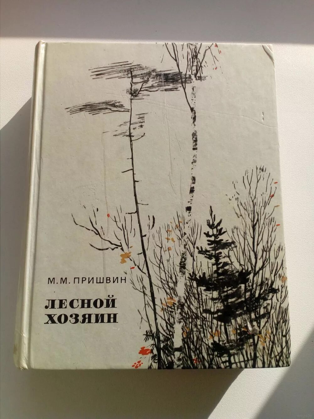 Пришвин лесной хозяин книга. Лесной хозяин пришвин иллюстрации. Пришвина лесной хозяин. Пришвин лесной хозяин рисунок. Рассказ пришвина лесной хозяин.