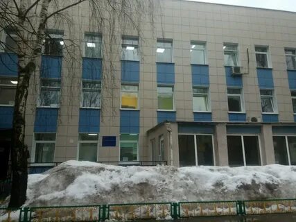 11 городская детская