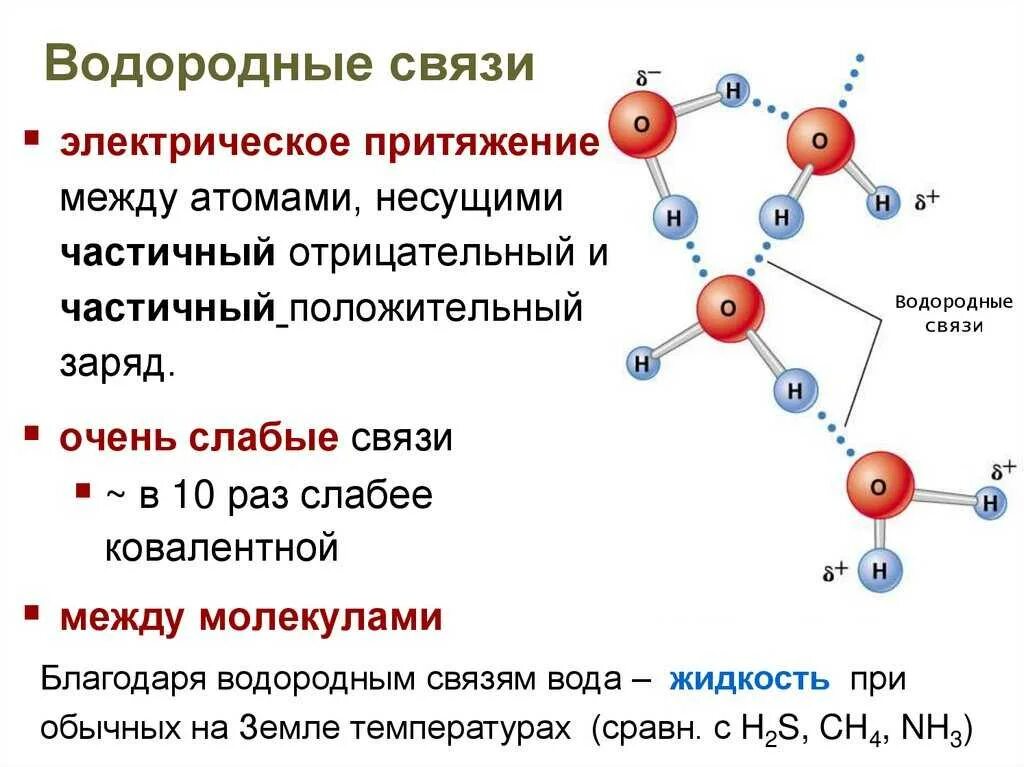 Водородная связь образуется в веществе. Как определить водородную связь в химии. водородная связь химия 8 класс. как образуется водородная связь в химии. типы химических связей водородная связь.