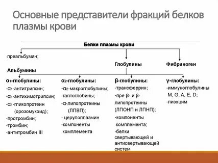 Плазма содержит белок