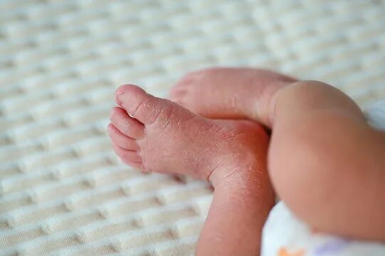 Birth Massage Images - Browse 59 Stock Photos, Vectors, and Video Adobe Stock