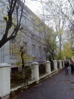 Гимназия ковров