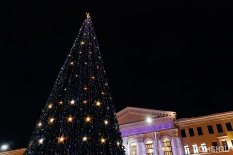 Елки томск