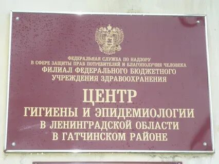 Сэс гатчина