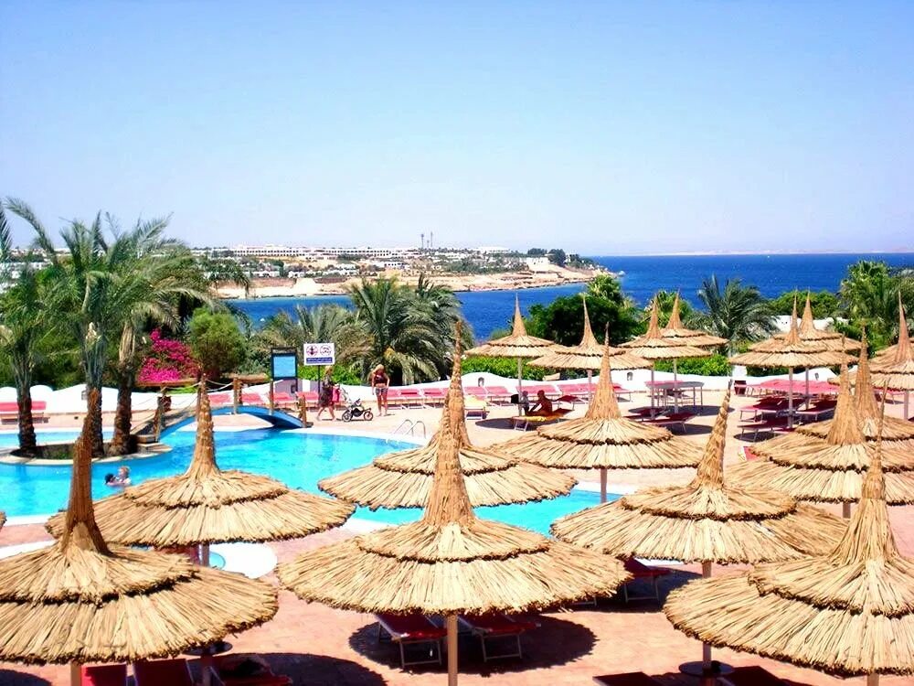 домина шарм-эль-шейх. Sharm el sheikh domina coral bay harem deluxe 5*. Domina coral bay harem deluxe 5 египет шарм-эль-шейх. Domina coral bay harem 5 шарм-эль-шейх. Domina coral bay bellavista 5*.