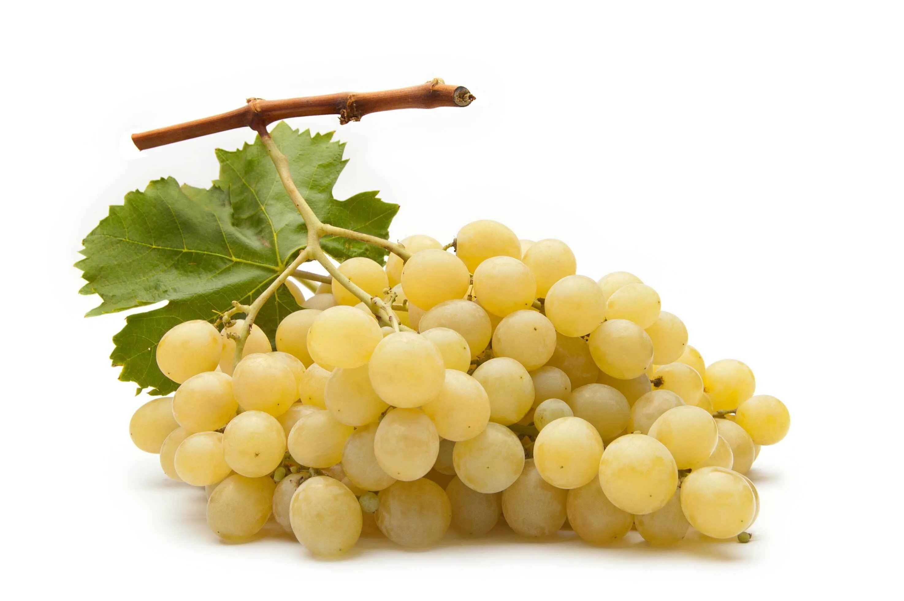 White grape