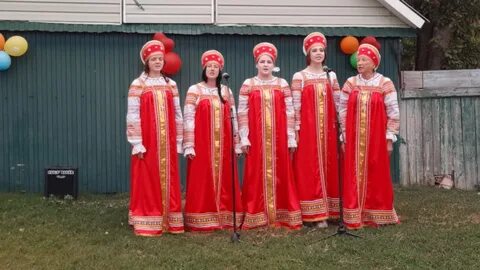 Рязанская ермишинский
