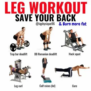 Legs and back