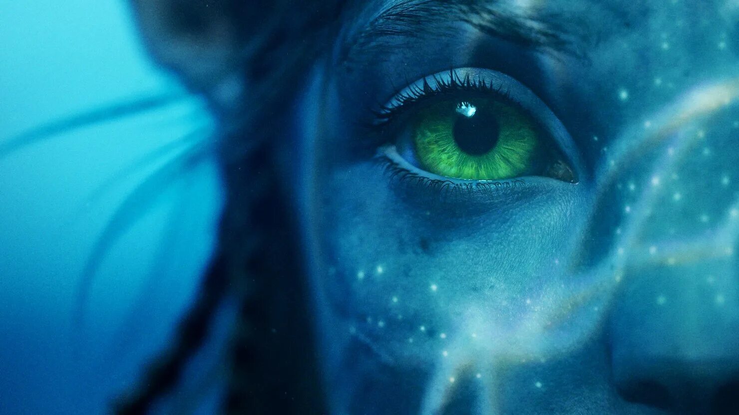 Аватар фильм 2022. Фильм аватар 2 путь воды. Аватар 2 путь воды. Фильм аватар 2. Avatar 2 the way of water.