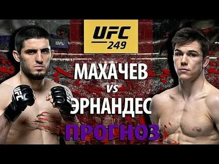 Без бою разбор