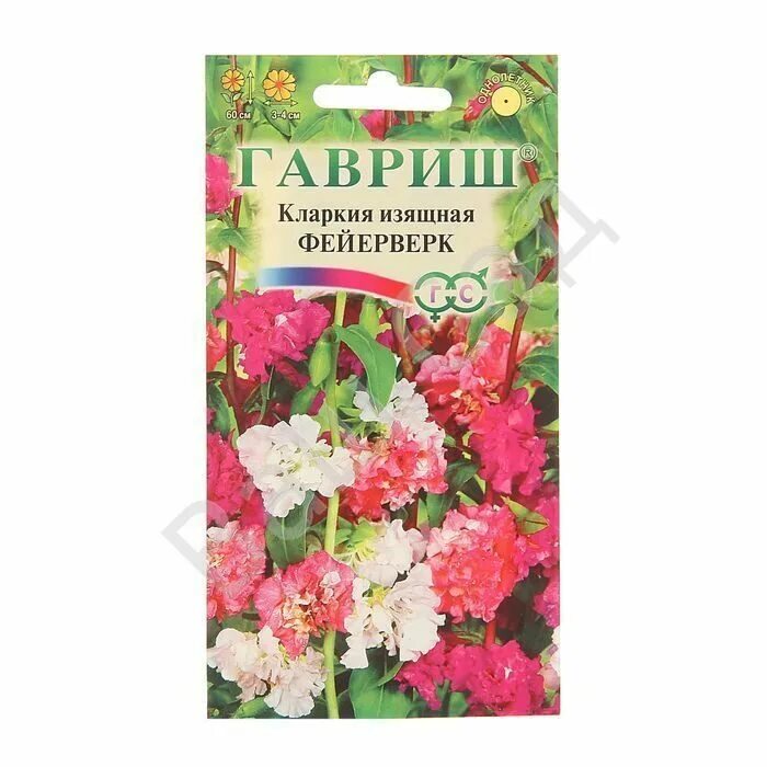 кларкия изящная махровая. кларкия изящная рубиновая. кларкия изящная рассада. посев годеции на рассаду. кларкия изящная выращивание из семян когда сажать в открытый.