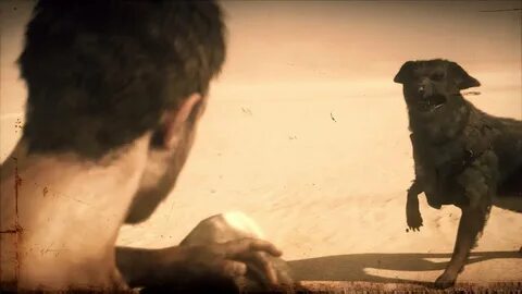 Mad max собака