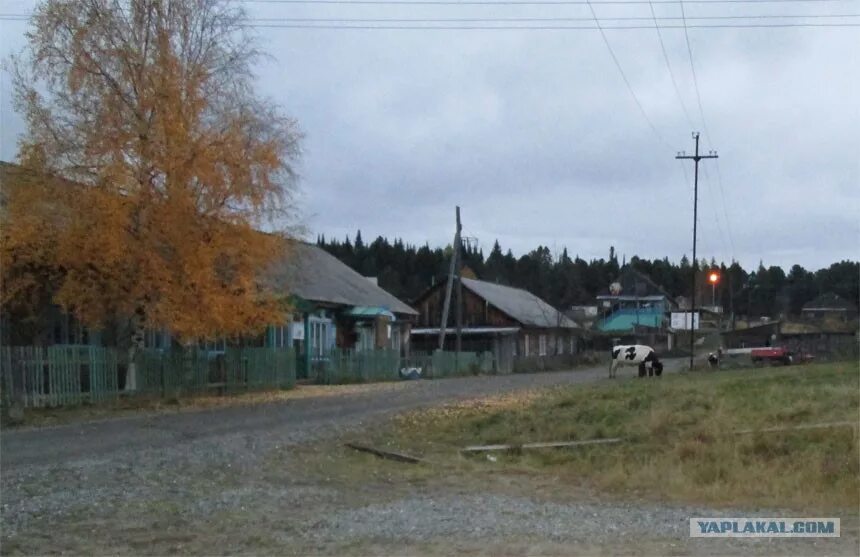 Погода леуши хмао октябрьского. Поселок малый Атлым. Село малый Атлым Октябрьского района ХМАО. Река Обь малый Атлым. Большой Атлым ХМАО.