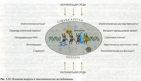 Импринт это