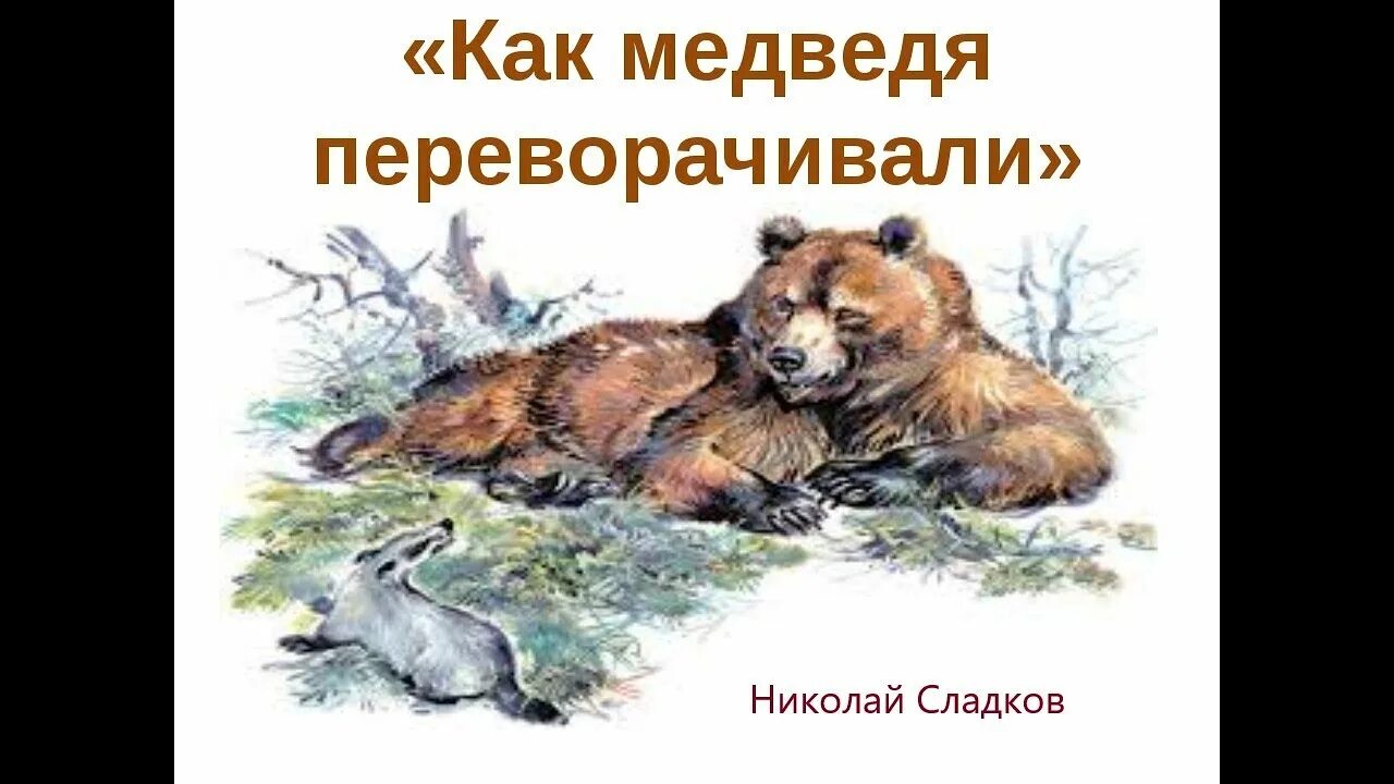 Н сладков медведь и солнце. Сладков барсук и медведь. Барсук и медведь» (н. н. Сладков.