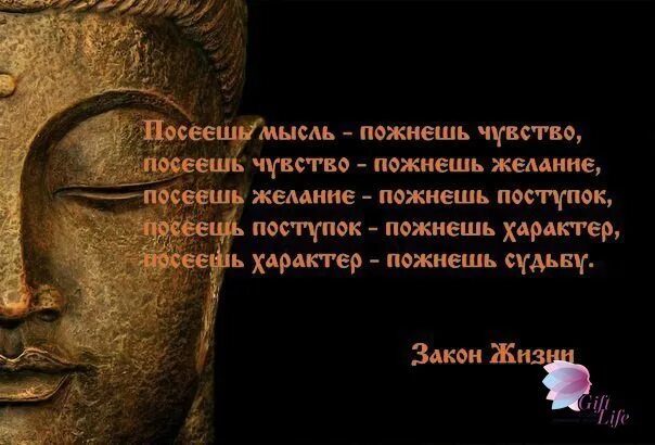 Посеешь мысль пожнешь. Посеешь мысль. посеешь мысль пожнешь поступок посеешь поступок. посеешь мысль пожнешь слово.