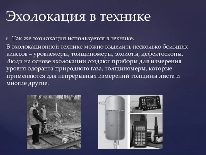 Использовать эхо. Эхолокация в технике. ультразвук в эхолокации. эхолокация у животных и в технике. ультразвуковая эхолокация в технике.