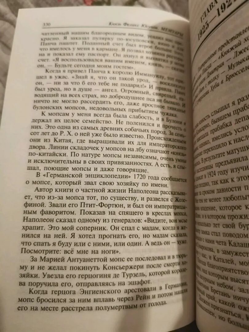 Мемуары феликса юсупова читать. Мемуары феликса юсупова читать