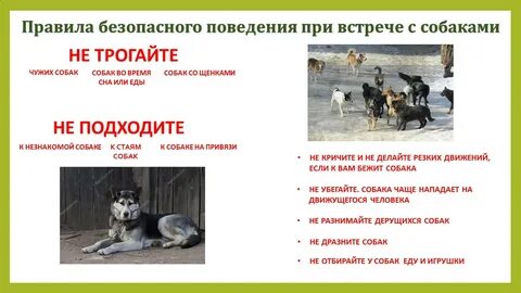 Действия при встрече