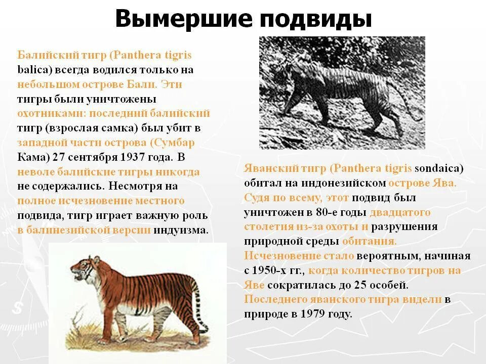 Главной причиной исчезновения некоторых видов животных