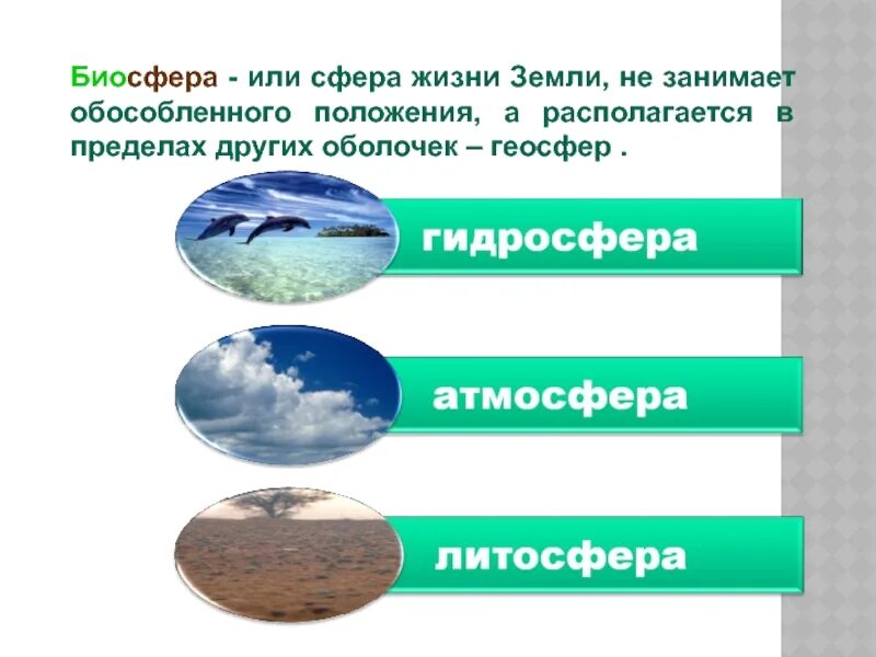 Какая оболочка земли полностью входит в биосферу. Биосфера. Биосфера оболочка жизни. Биосфера сфера жизни презентация. Биосфера сфера жизни география 6.