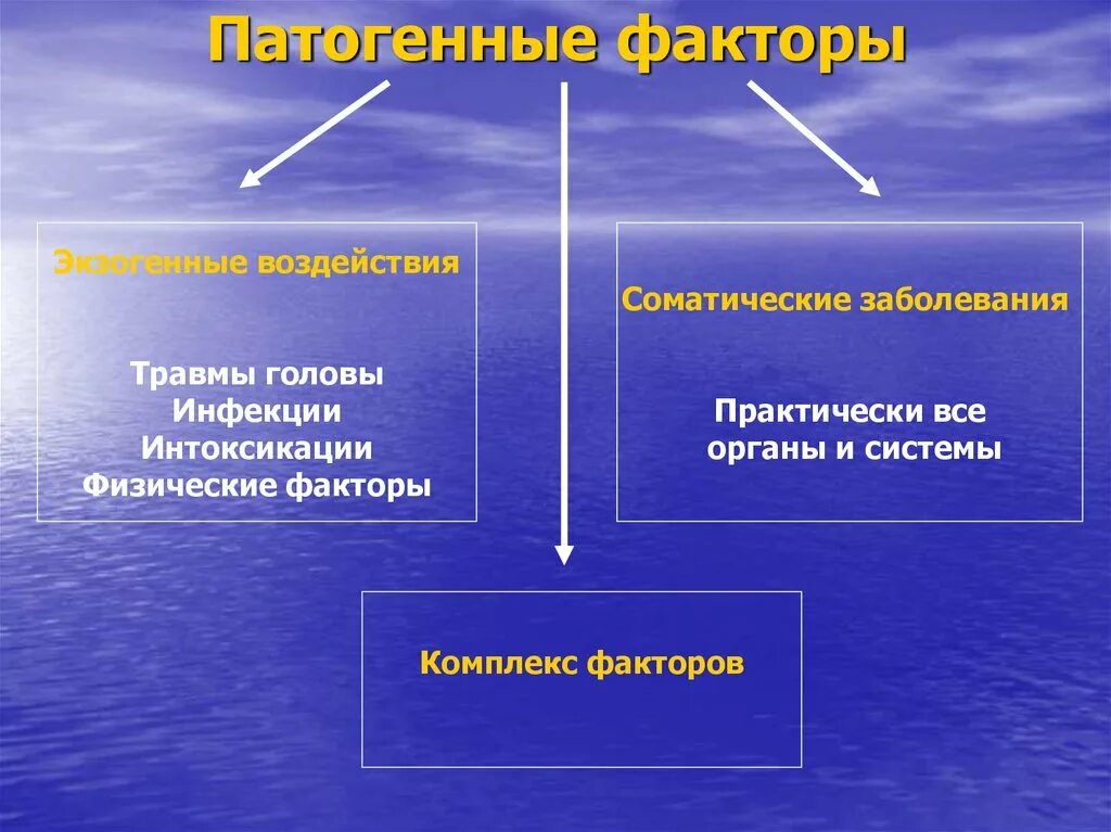 Факторы и условия развития заболевания. Патогенные факторы. Болезнетворные факторы. Виды патогенных факторов. Патогенные факторы развития.