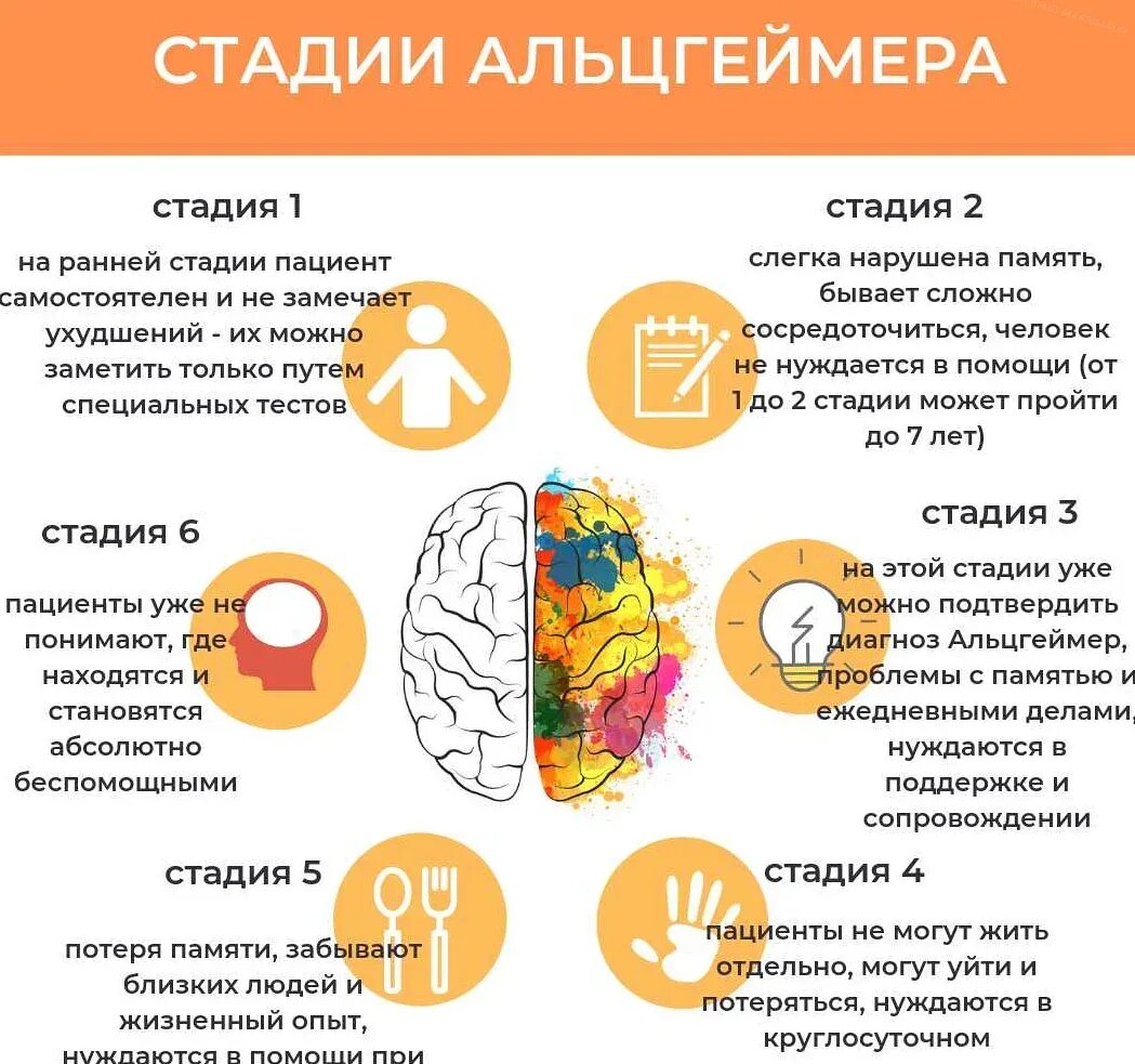 Тяжелая форма заболевания невозможно совместное проживание. Болезнь Альцгеймера. Стадии Альцгеймера. Стадии болезни Альцгеймера. Деменция этапы заболевания.