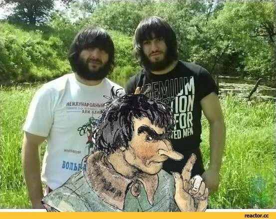 Есть ли жи