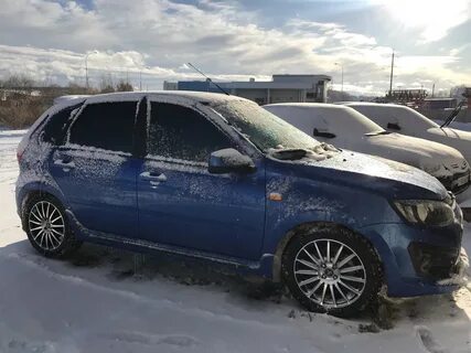 Калина 2 зимой