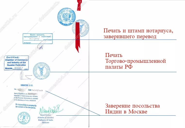 Общественный перевод документов