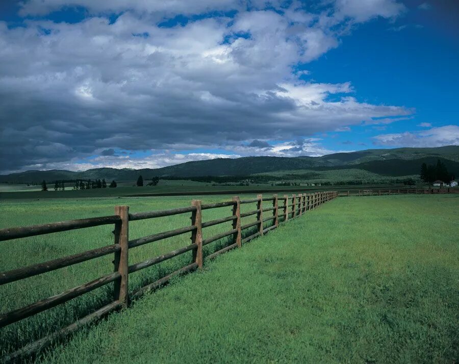 Алексей щербаков перелазит через забор. Деревенский забор. Алексей щербаков через забор. Щель в заборе. Жизнь под забором.