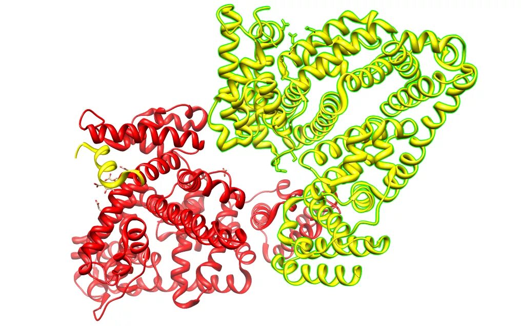 Глобулин это. Белок альбумин структура белка. Альбумин молекула. Альбумин строение белка. Структура бычьего сывороточного альбумина.