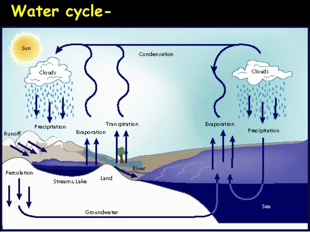 Круговорот воды. Круговорот воды в природе. Water Cycles. Циркуляция воды в природе. Цикл воды в организме