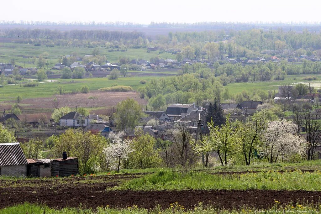 Село Алексеевка. Село Алексеевка Запорожской области. Алексеевка Украина. Село Алексеевка Белгородская область.