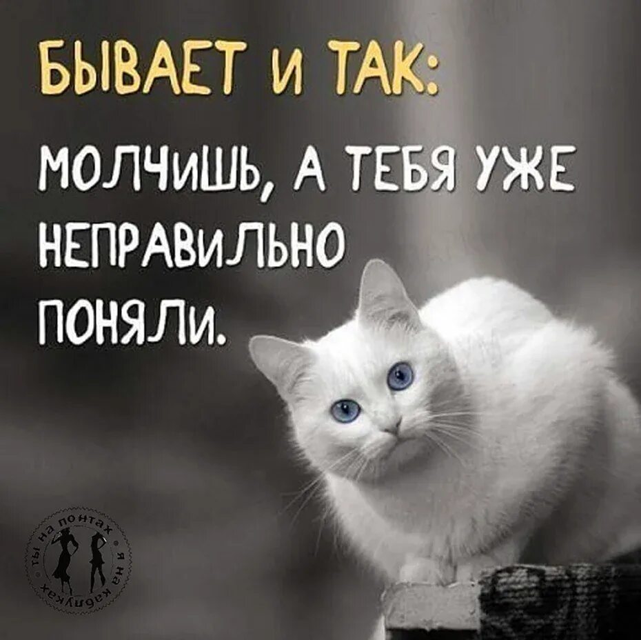 Ну и молчи мем. Че молчишь. Кто же ты молчишь. Мемы про федю. Кто же ты молчишь.