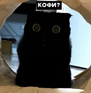 Кофи кот