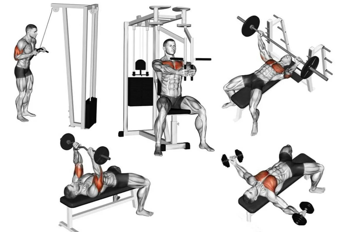 Body solid g6b. жим платформы техника. верхний блок широким хватом. тяга горизонтального блока узким хватом. жим ногами схема.