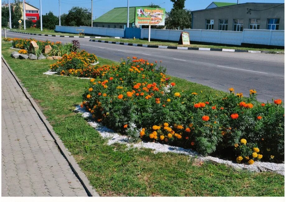 П ракитное белгородской. Достопримечательности п Ракитное Белгородской области. Соцстрах п. Ракитное Белгородской. Ракитное Белгородская область вечный огонь.