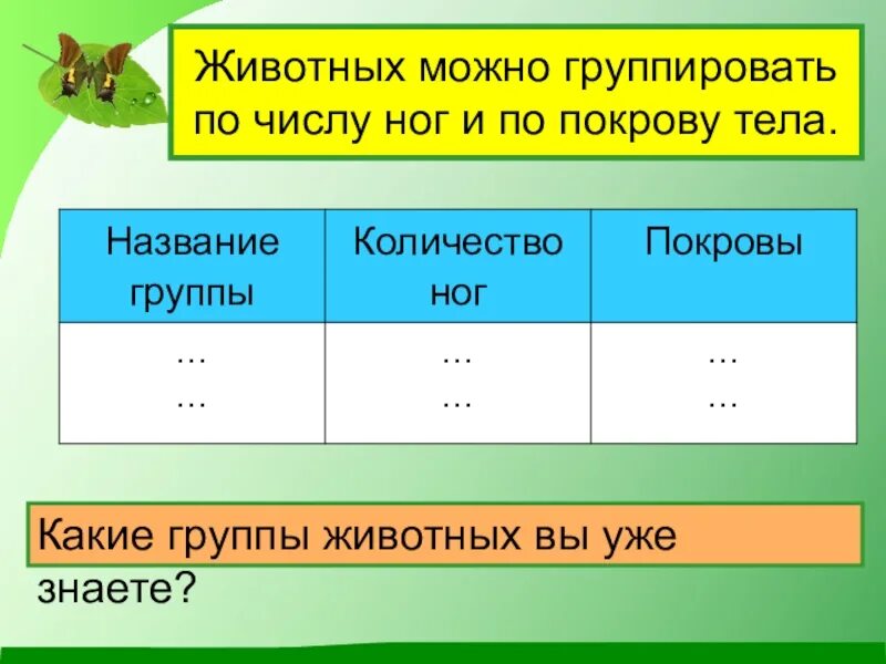 Количество животных как называется. Группа животных покровы тела. группа животных название животных количество ног и покров тела. животные название группы количество ног покровы. группа животных количество ног.