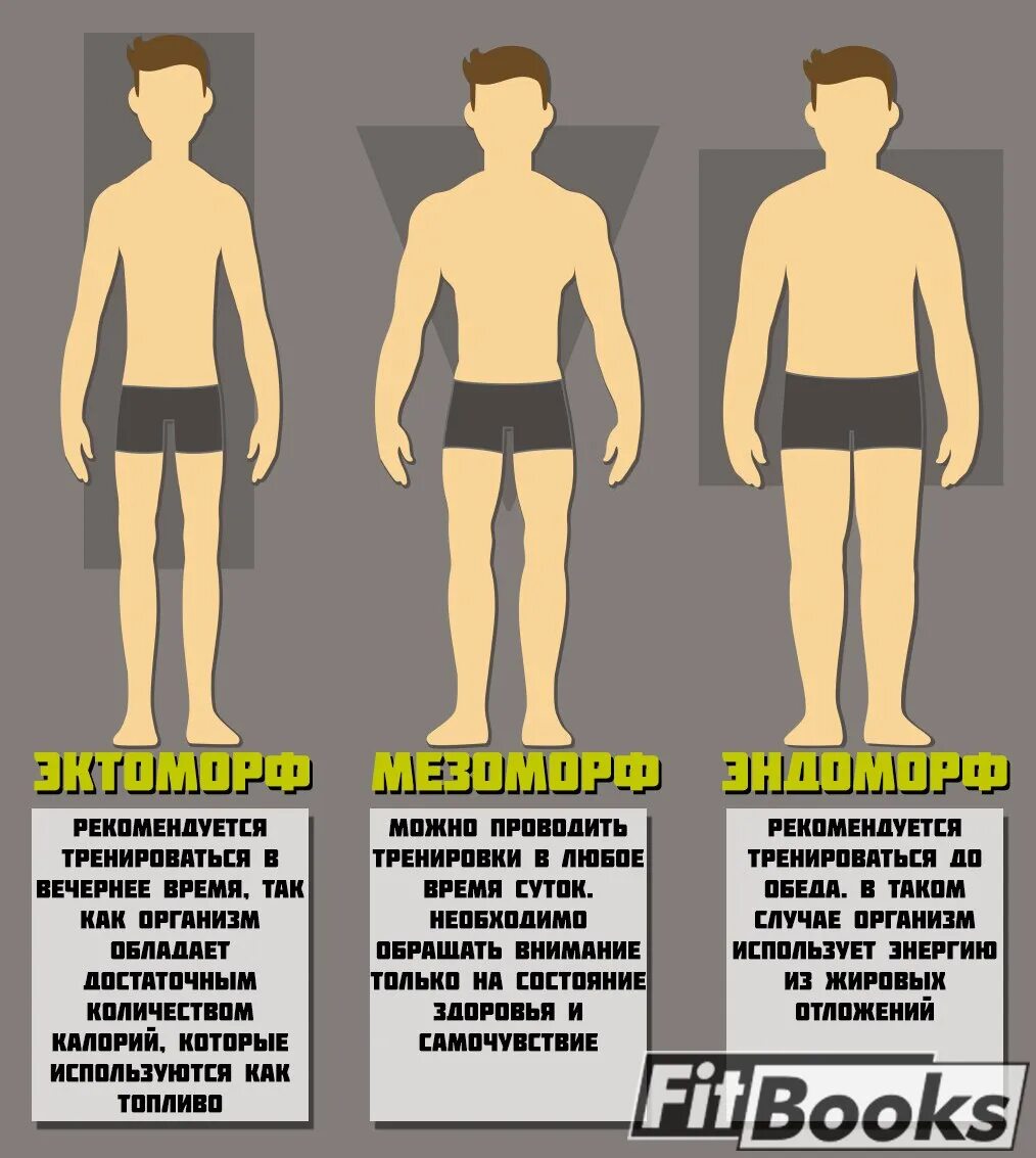 Типы телосложения человека эктоморф мезоморф эндоморф. Типы конституции тела. Как определить тип телосложения у мужчин. Типы фигур эктоморф эндоморф мезоморф. Хрупкое телосложение.