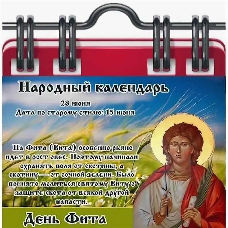 День фита картинки. День фита 28 июня картинки с надписями. День фита 28 июня картинки. День фита 28 июня картинки. День фита 28 июня.