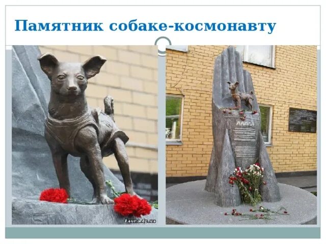 Памятник собаке космонавту лайке в Москве. Памятник собаке космонавту в Ижевске. Лайка собака-космонавт памятник. Памятник первой собаке космонавту лайке. Собака звездочка в космосе