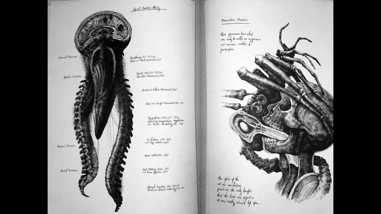 Книга чужой Завет рисунки Дэвида. Рисунки Дэвида чужой Завет. Иллюстрации Дэвида чужой Завет.