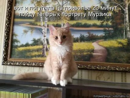 Грустить сегодня не кстати