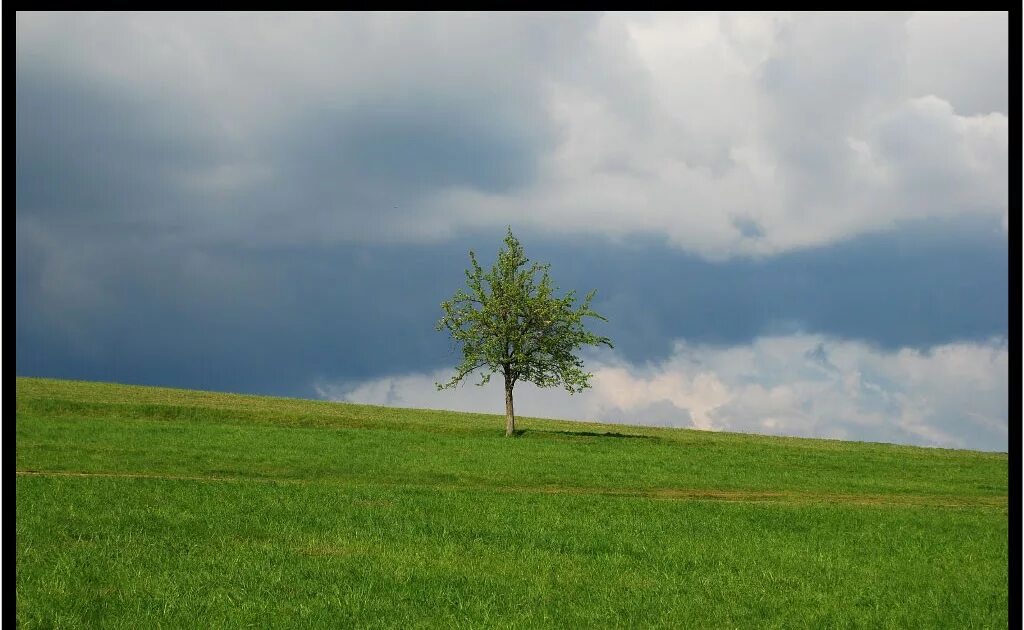 Стояла м на холме. Одинокий холм. Башня гластонбери, великобритания. Красивое дерево. Словения церковь на холме.