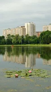 Ангарском пруду
