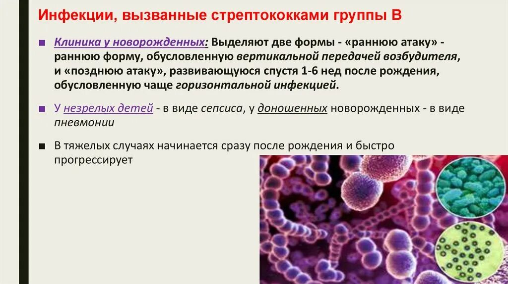 Инфекции, вызываемые стрептококками группы в. Стрептококковой инфекции в организме. Заболевания вызываемые стрептококками.